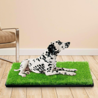 Hygienic carpet